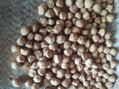 गरियाबंद : बच्चों को परोसी जाने वाली सोयाबीन बड़ी में निकले कीड़े और घुन……….