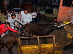 उज्जैन : महाकालेश्वर मंदिर के पास प्रशासन ने अवैध बूचड़खानों पर छापा मारा………..