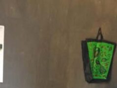 जशपुरनगर/CG : बीसी सखी रीना रोजाना लगभग 30 हजार की राशि निकासी कर प्रदान कर रही है हितग्राहियों को, पांच ग्राम पंचायतों में 30 से 35 लाभार्थियों को दे रहीं वित्तीय सेवाएं……………..