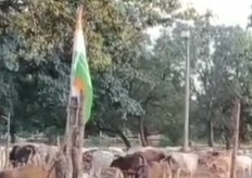 सरगुजा/CG : गौठान बंद तो क्या हुआ! ग्रामीणों ने खुद बनाई मिसाल — अपने दम पर शुरू किया गौधाम……….