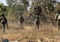 आंध्र–छत्तीसगढ़ सीमा पर हिड़मा सहित 6 माओवादी ढेर, ग्रेहाउंड्स का बड़ा ऑपरेशन………….